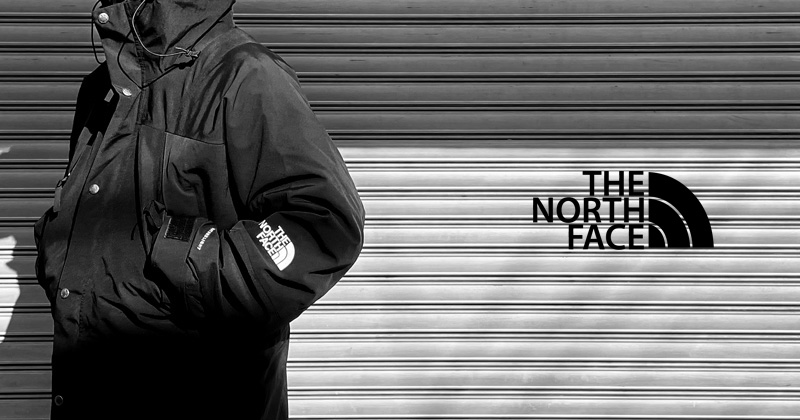『"THE NORTH FACE" 1994 Mountain Light Jacket』