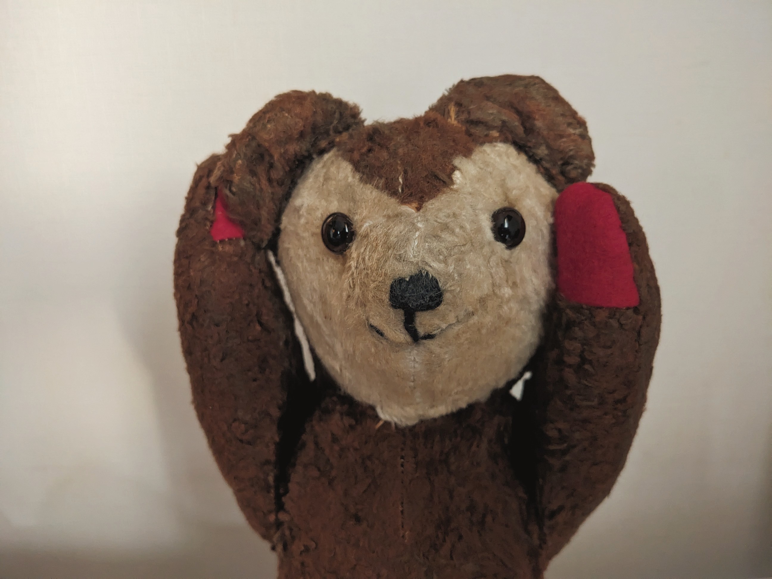 【出店のお知らせ】