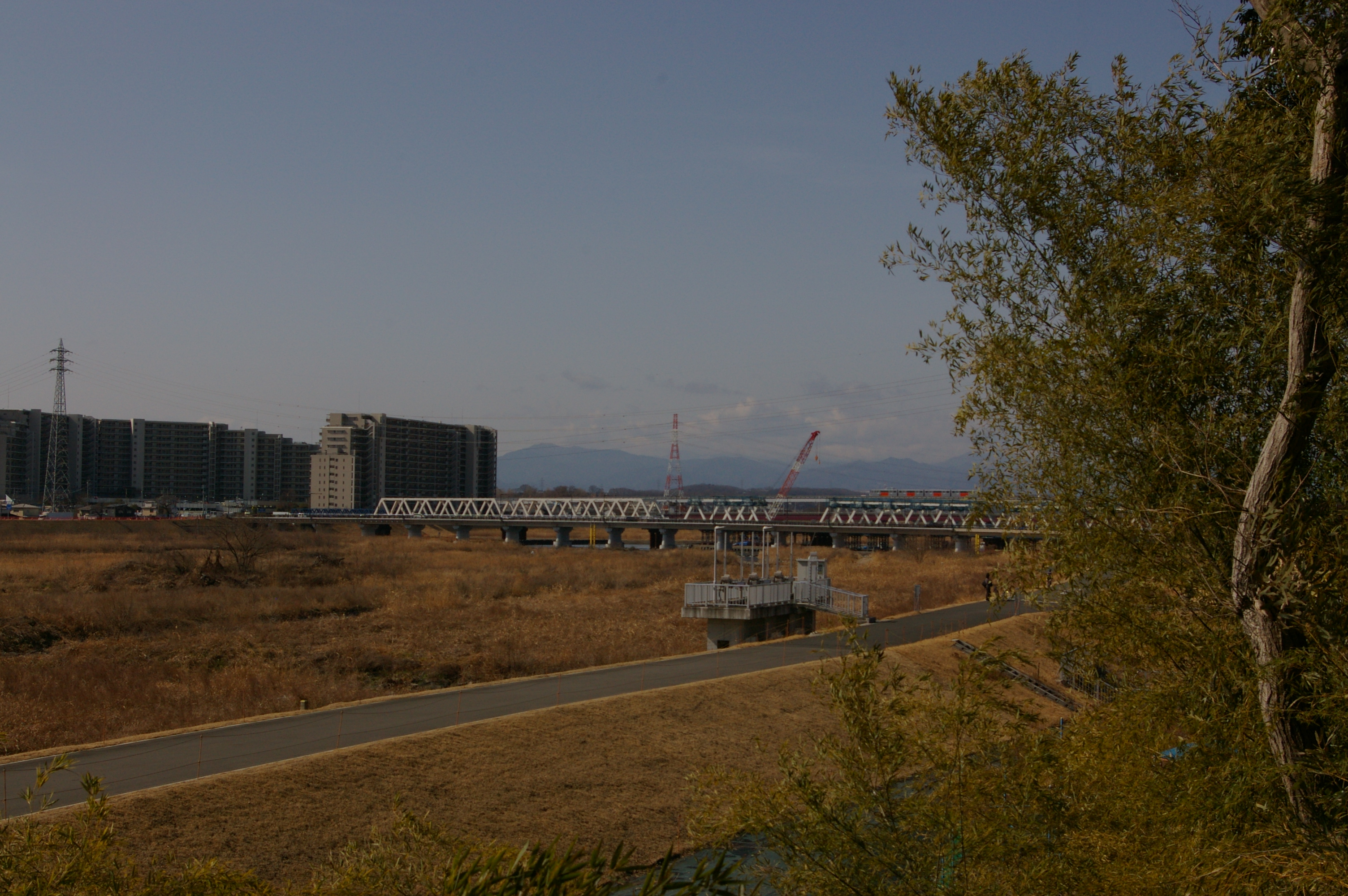 新シリーズ・立川昭和公園散歩シリーズ５種類　全53作品　発売開始！