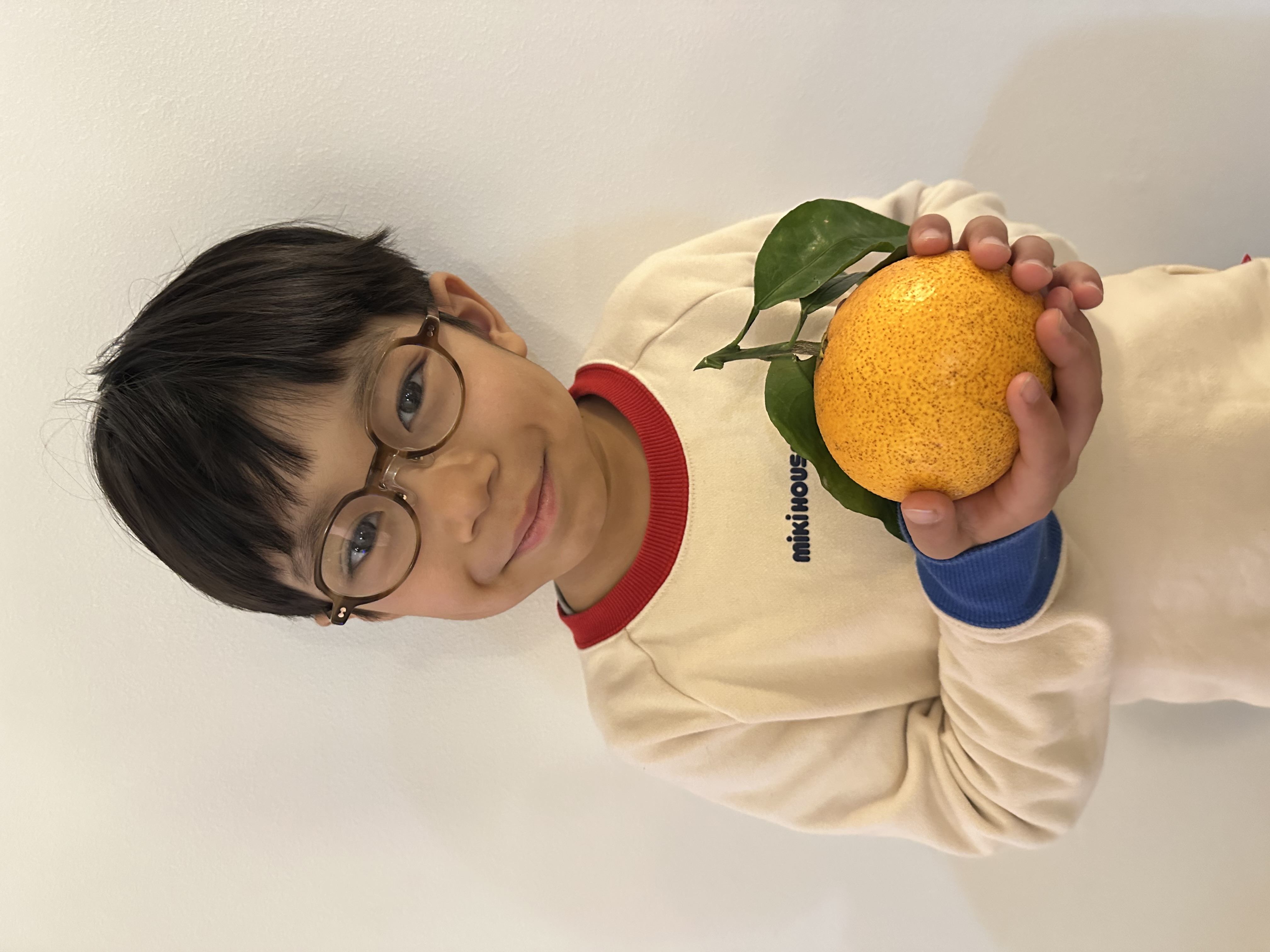 今年の販売開始遅れて申し訳ございません！もうすぐです！