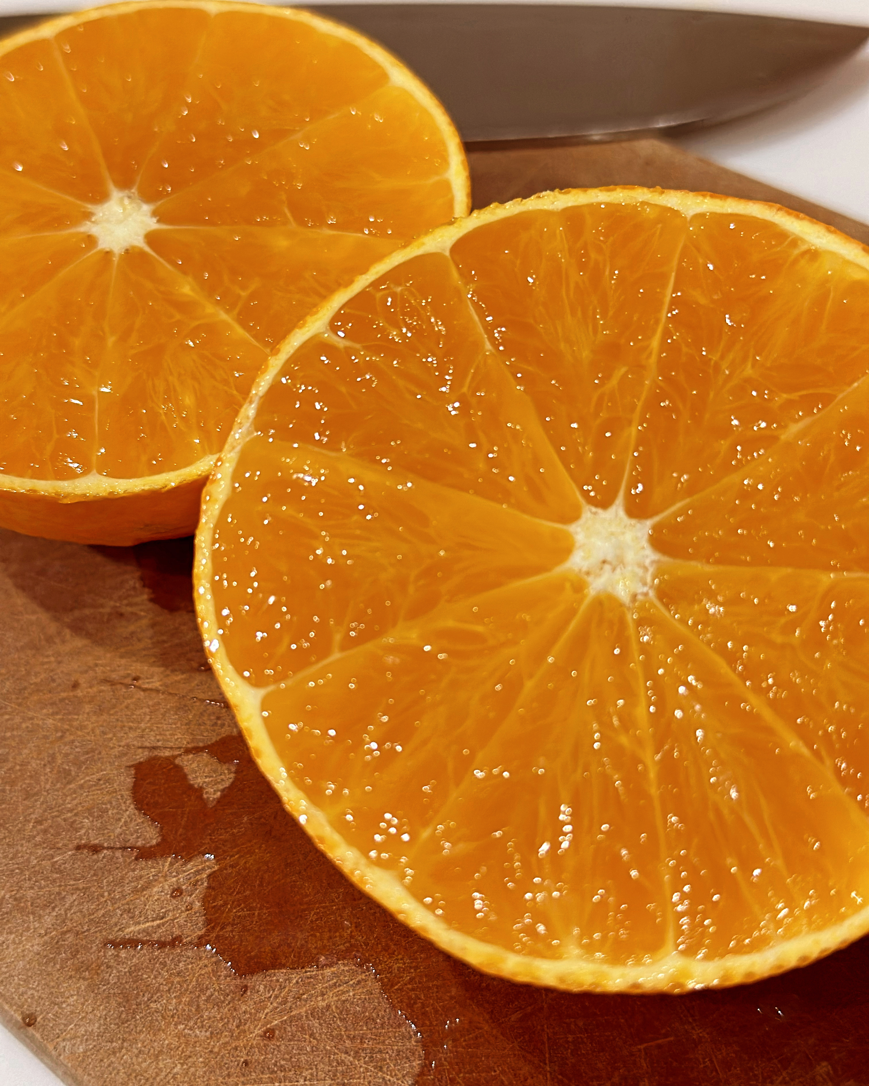 2023シーズンスタートしました🍊
