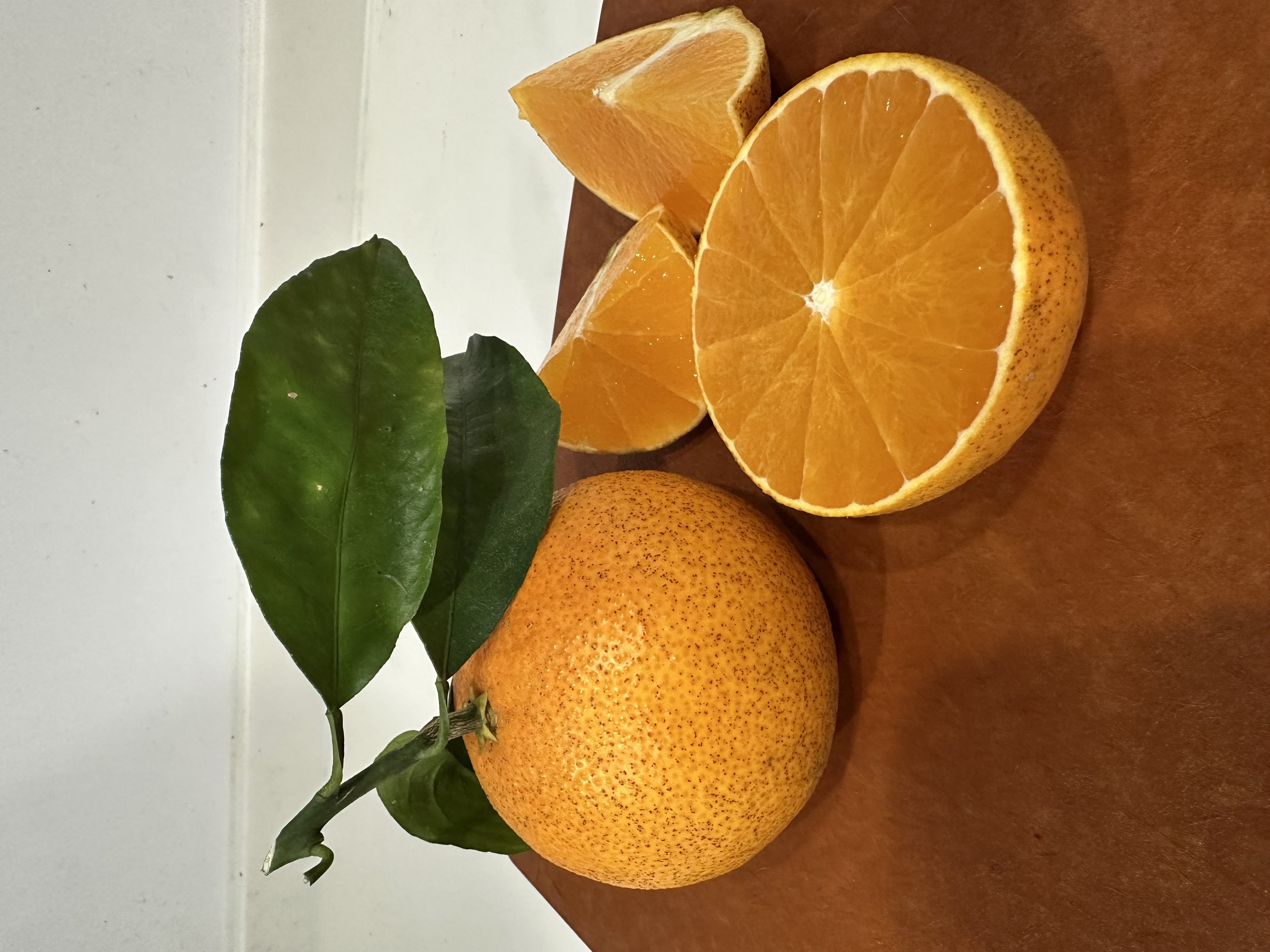 大変お待たせいたしました！陽まどんな販売開始します！