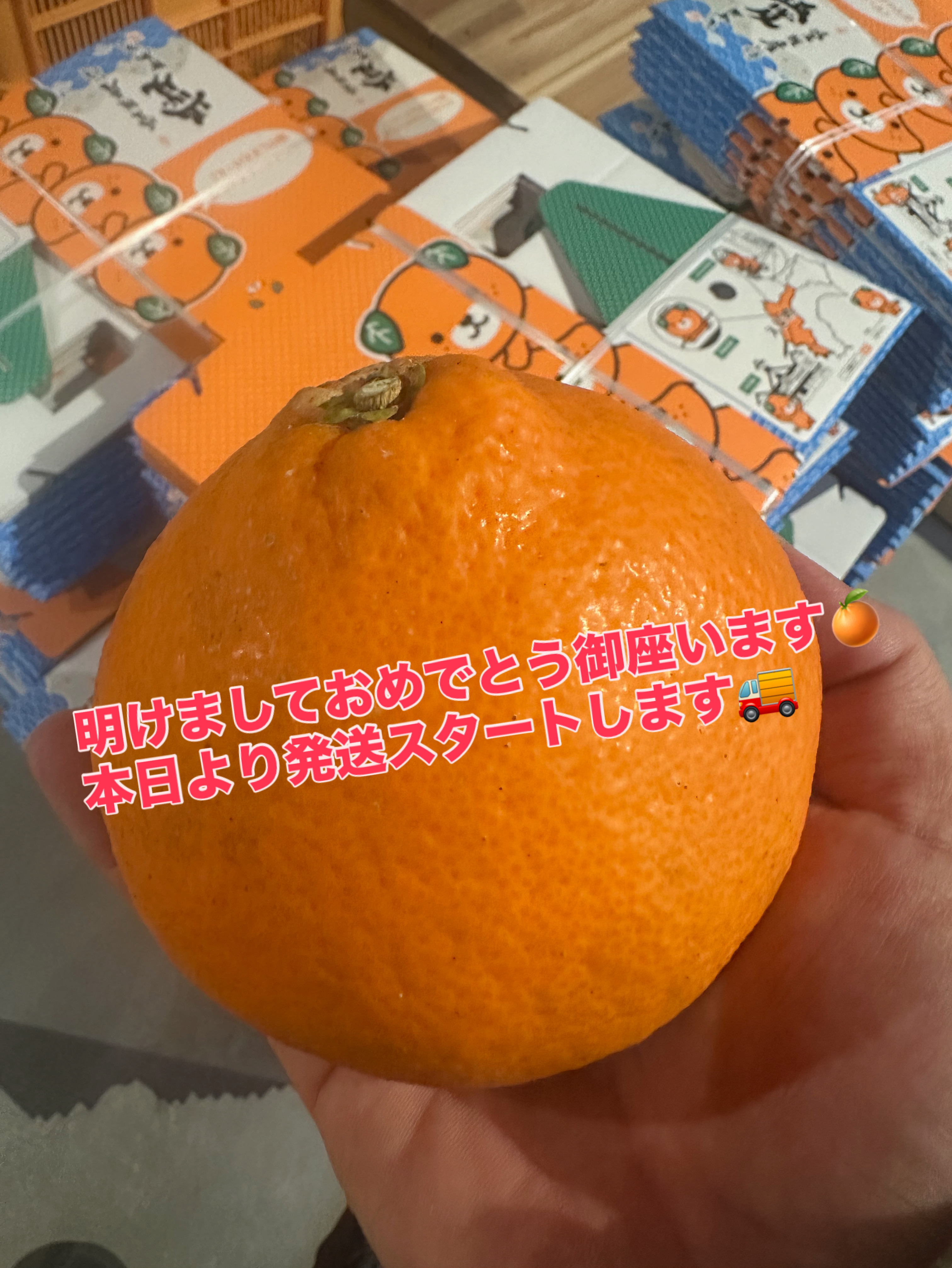 新年明けましておめでとうございます