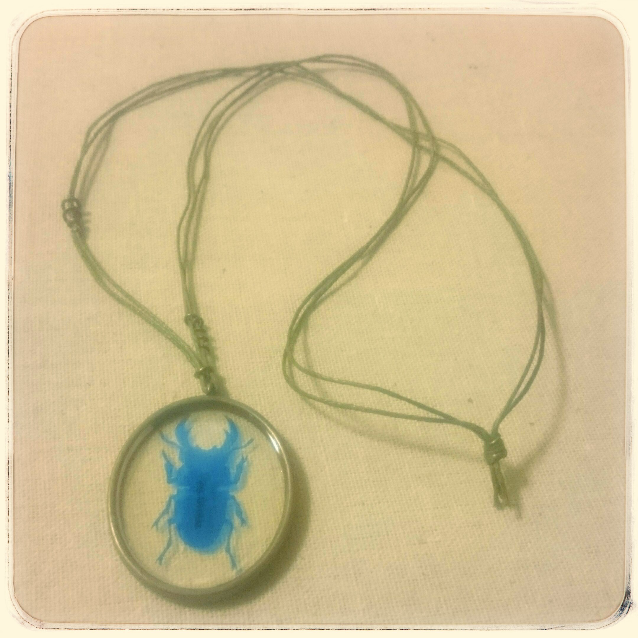 Insect Specimen necklace☆