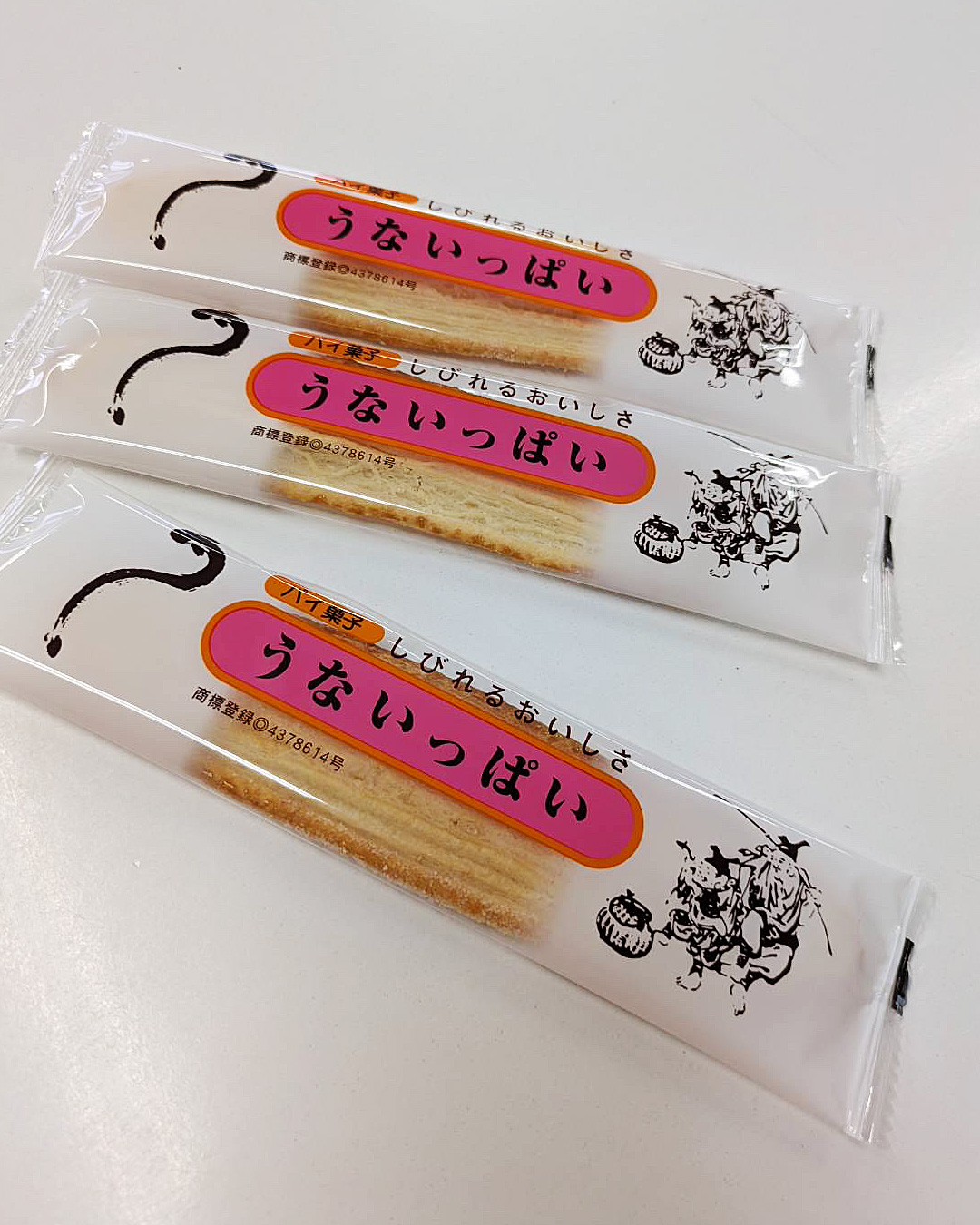 福岡県柳川市の「うないっぱい」