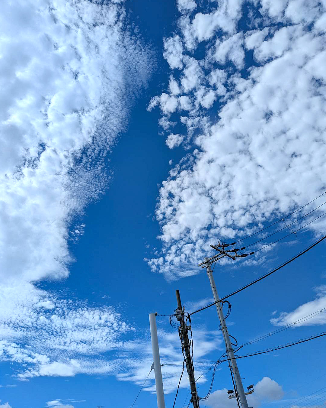 久々にゆっくり出来たお盆でした✨️