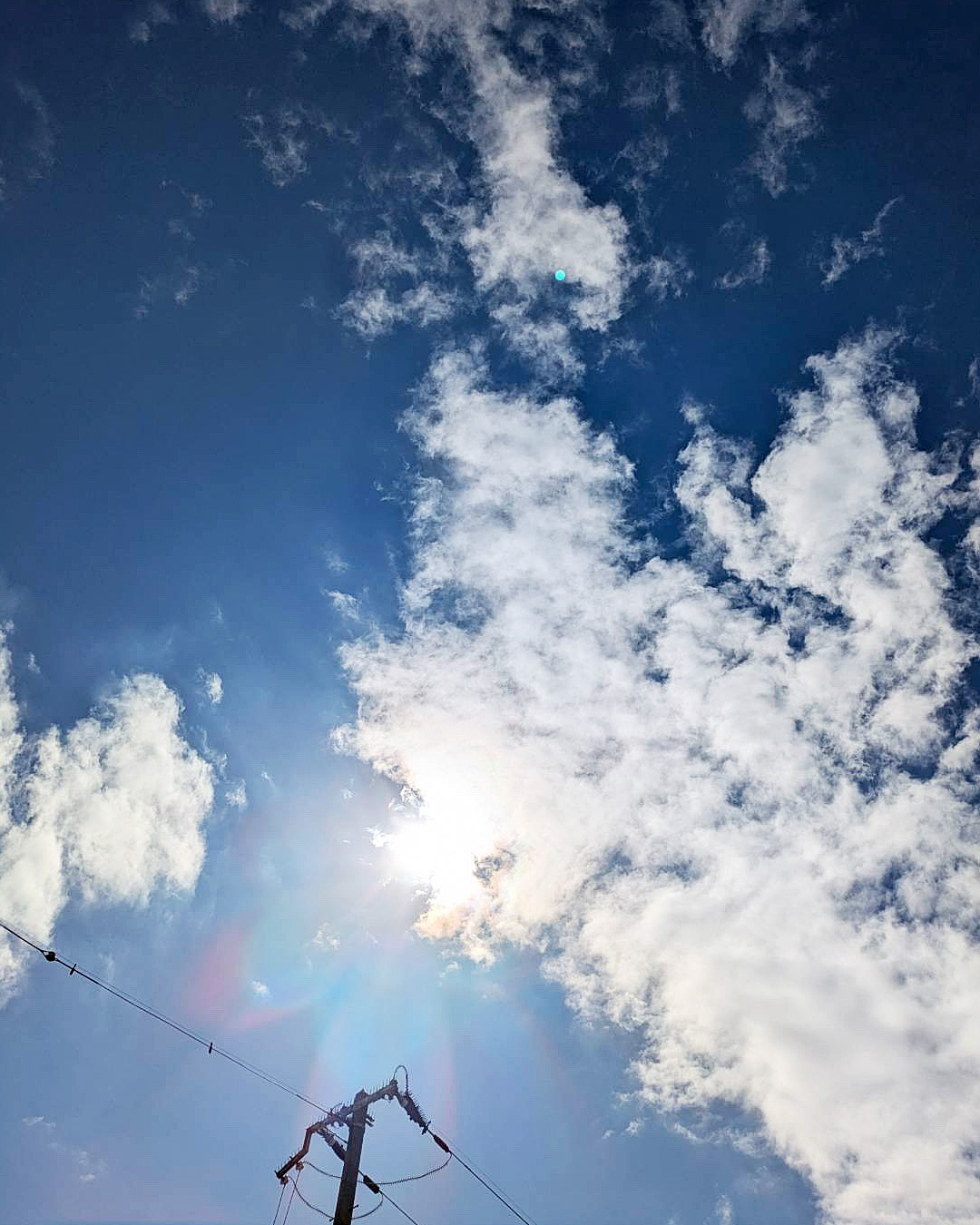 久しぶりの太陽☀️