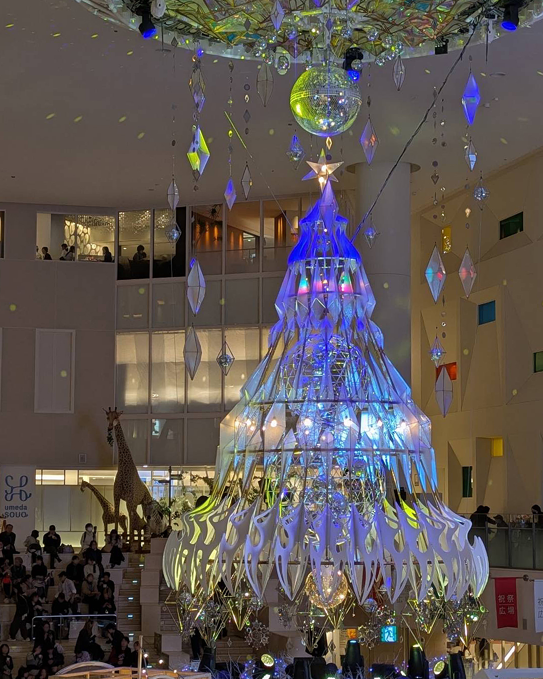 クリスマス・シーズン到来❗