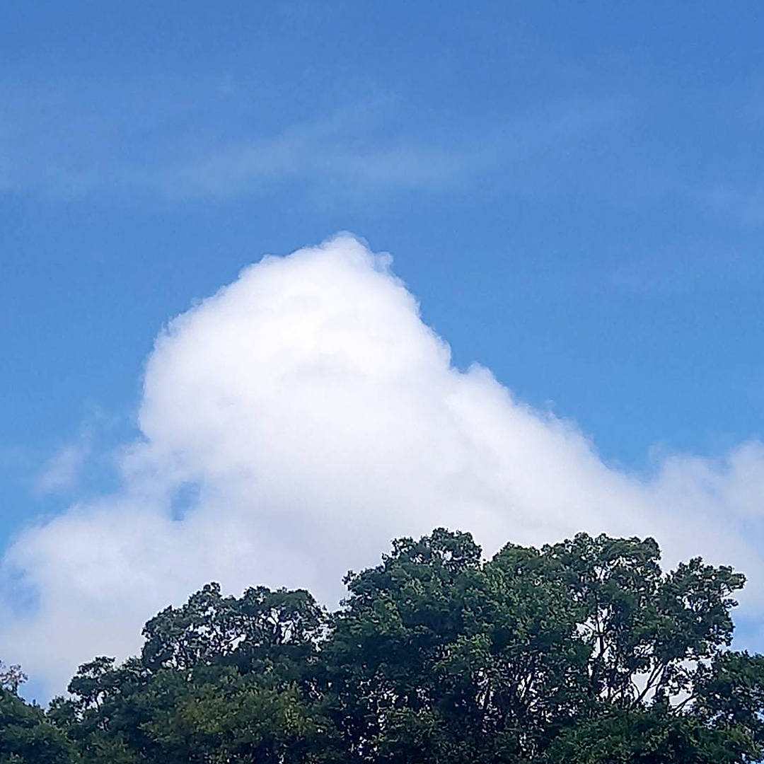 今日は夏至