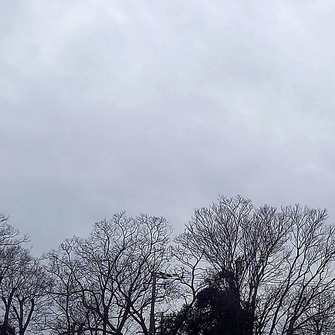 ついに来ました❗