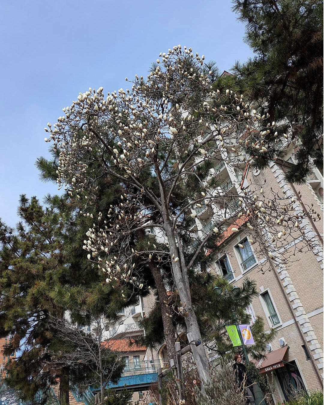 宝塚ホテル1階のショップ「アルモニー」