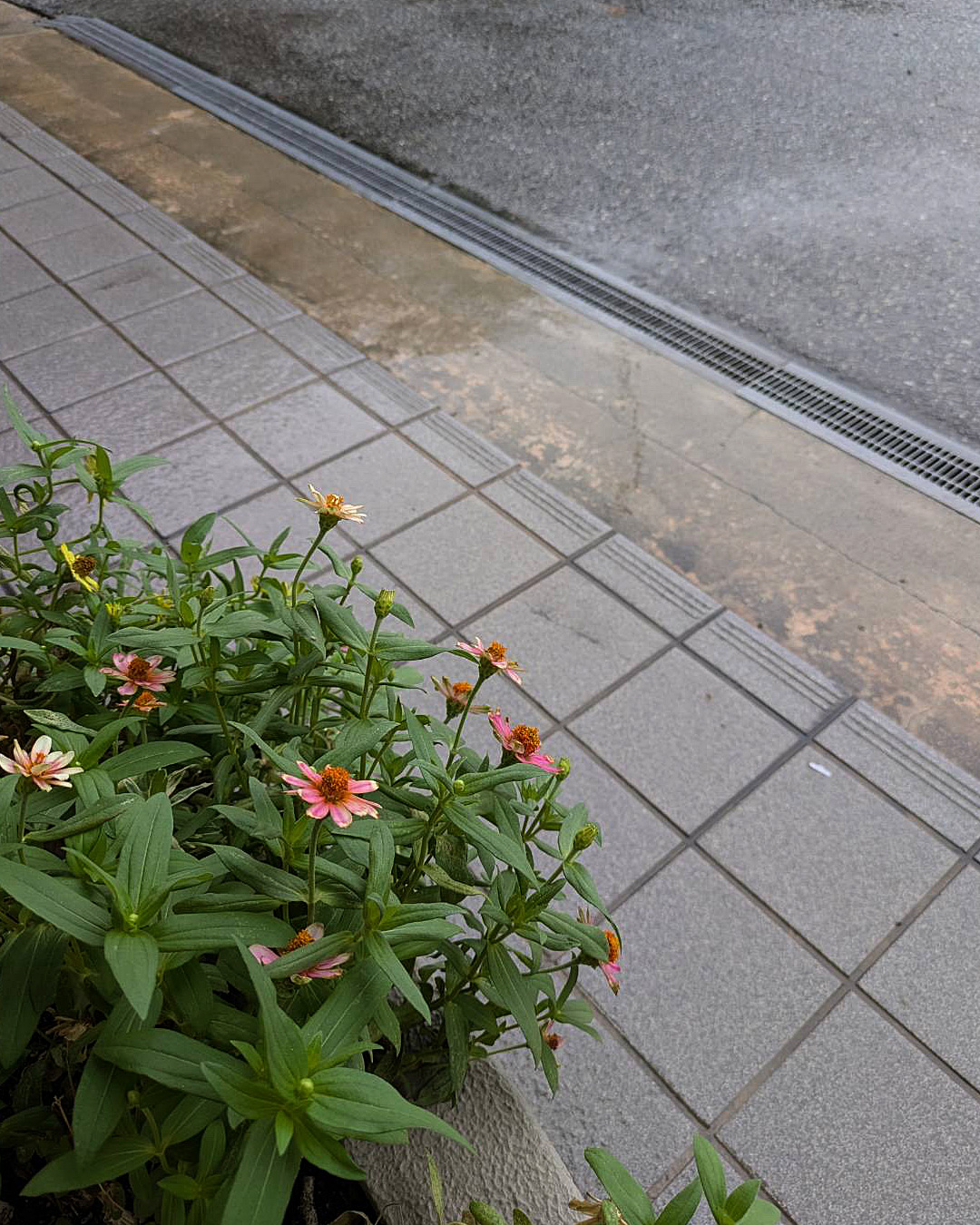 各地で大雨警報