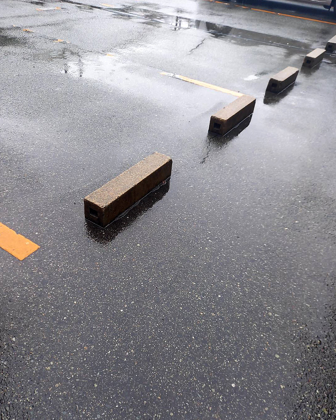 春の雨は恵みの雨