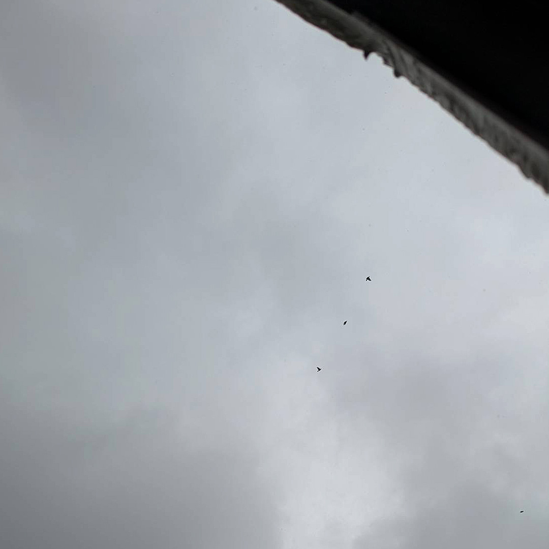 大雨洪水警報