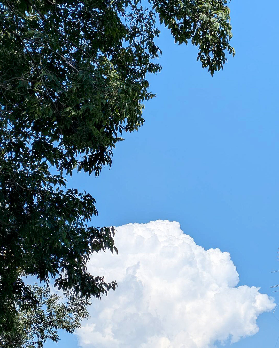 入道雲