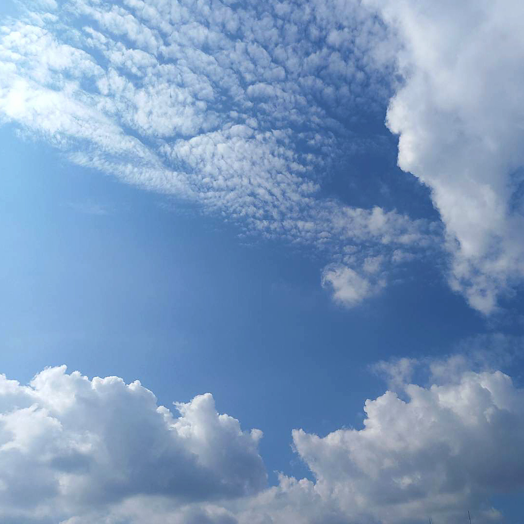 台風一過
