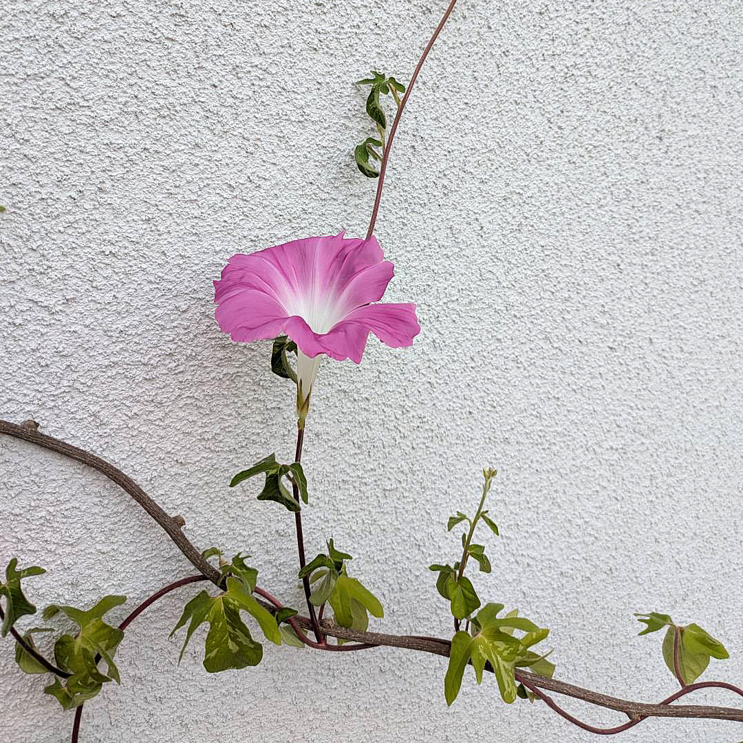 今回は２階席