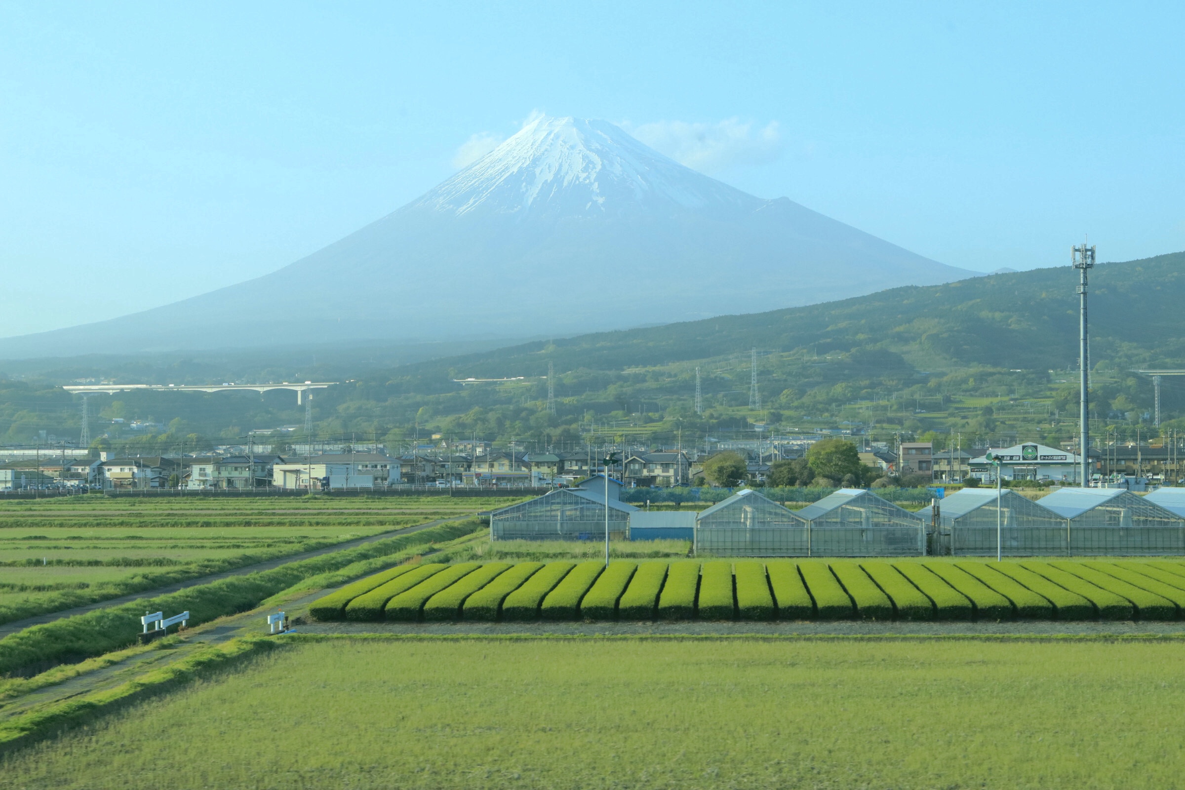 4月の一枚❗️