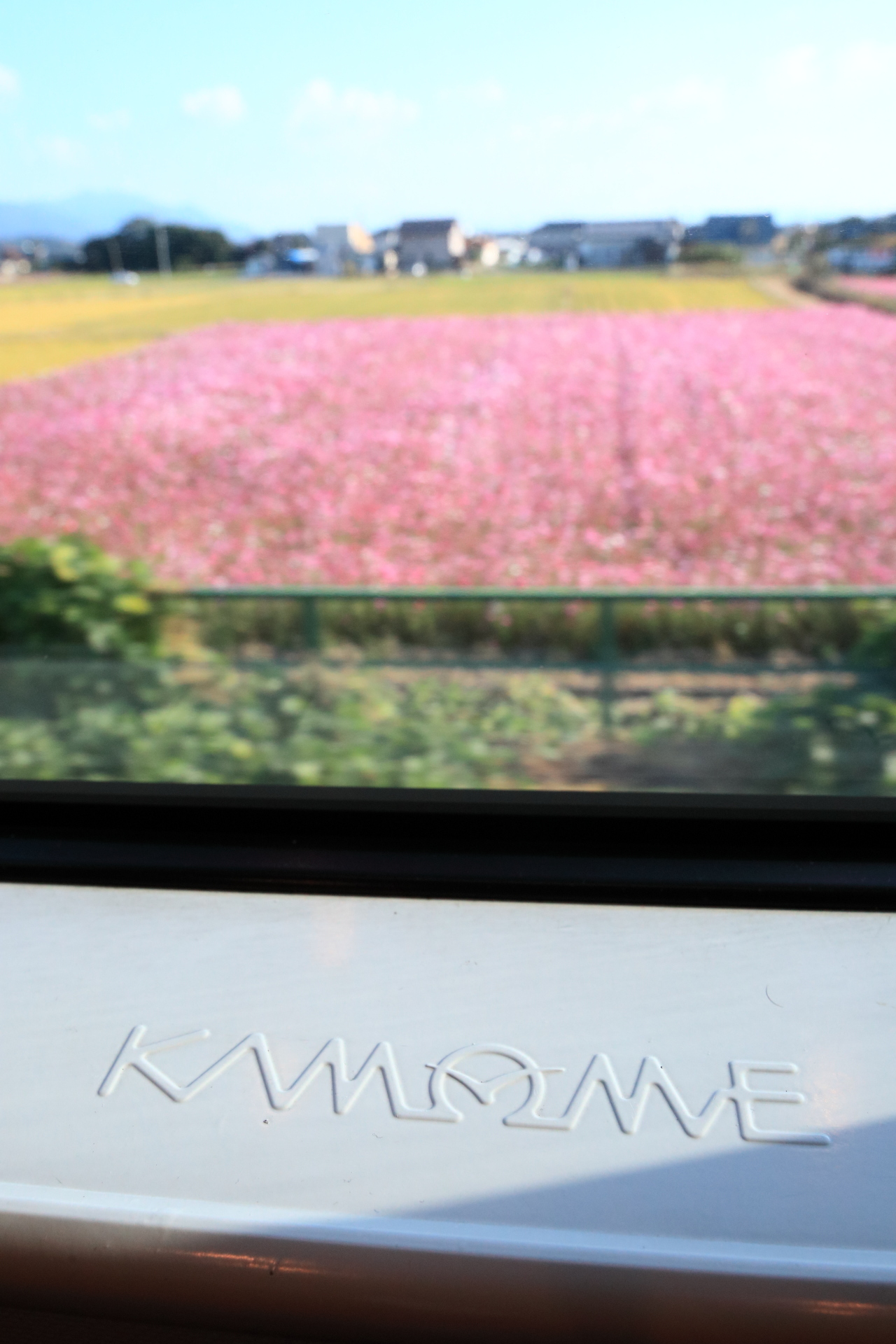 11月の一枚❗️