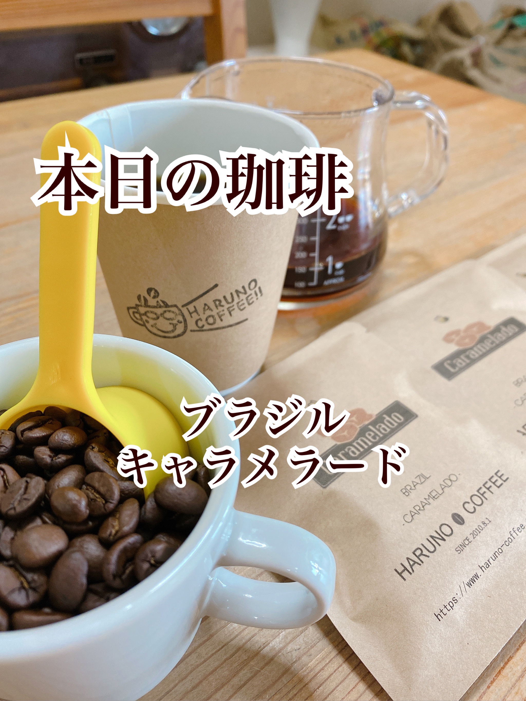 2021/11/29 本日の珈琲は、ブラジルのキャラメラードです。