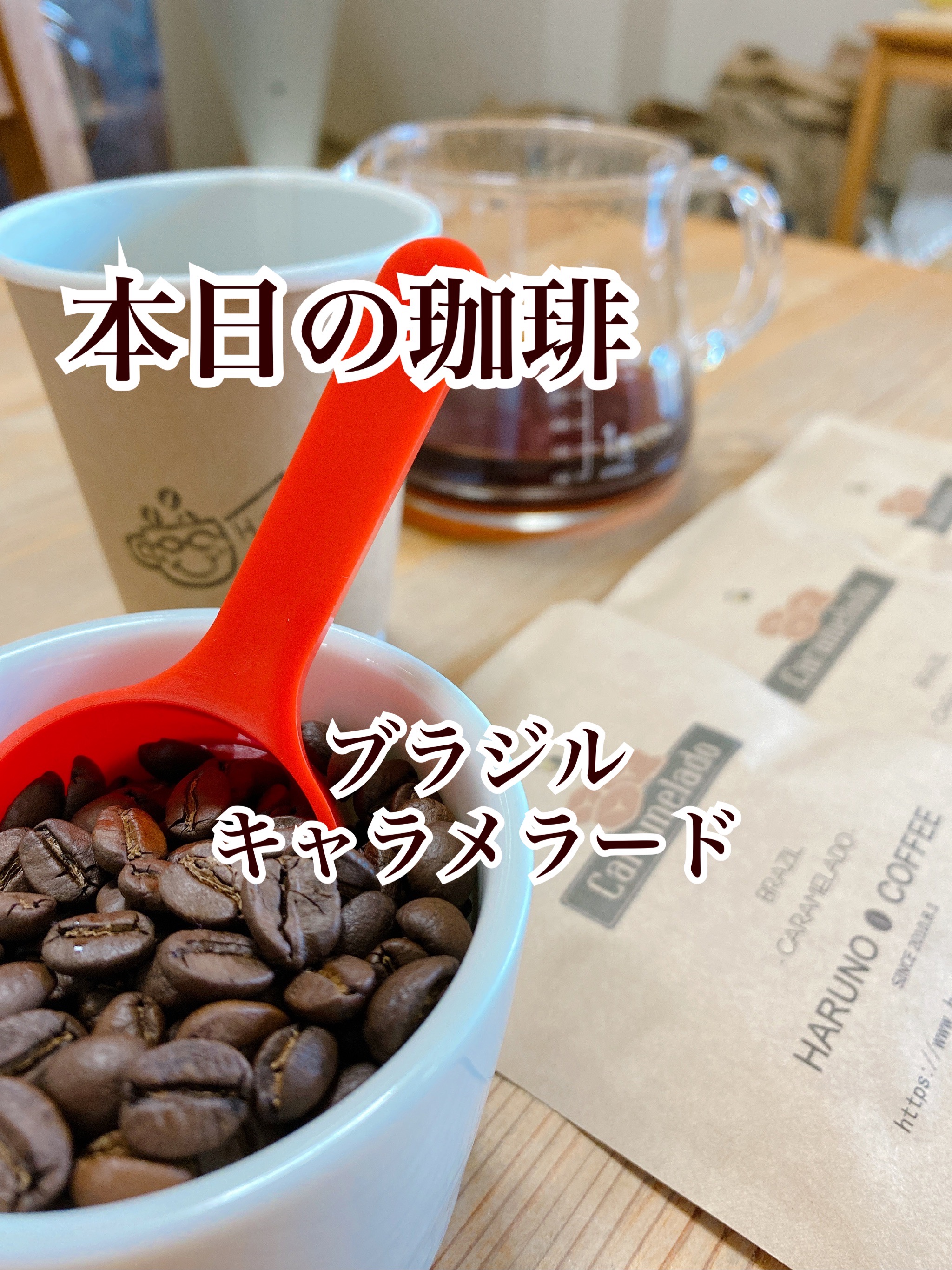 2021/10/30 本日の珈琲は、ブラジルのキャラメラードです。