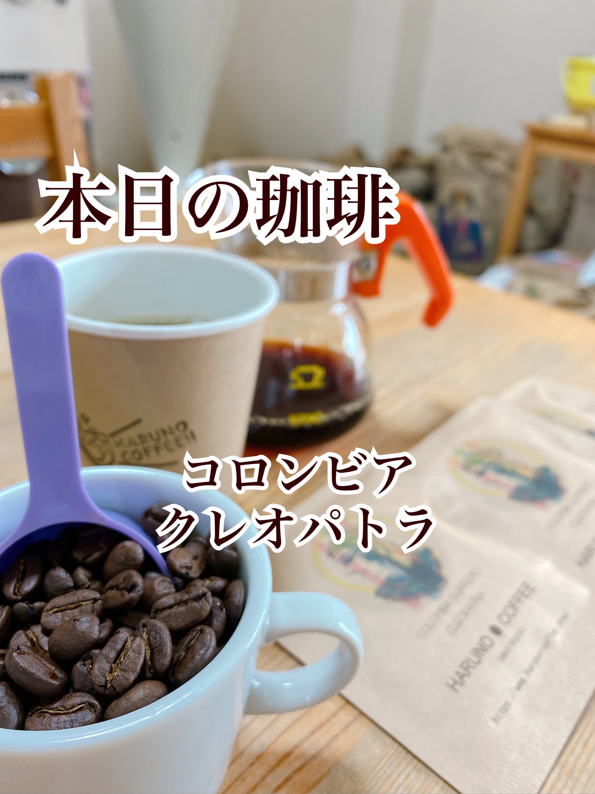 2021/11/21 本日の珈琲は、コロンビアのクレオパトラです。