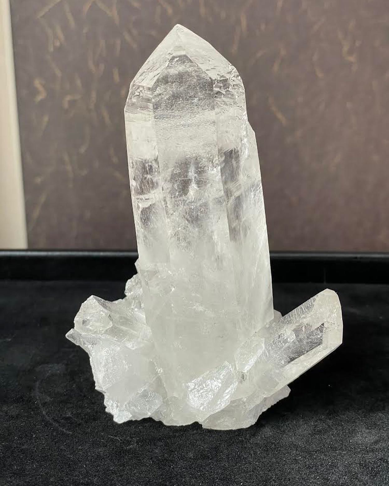 今週のピックアップ更新！！