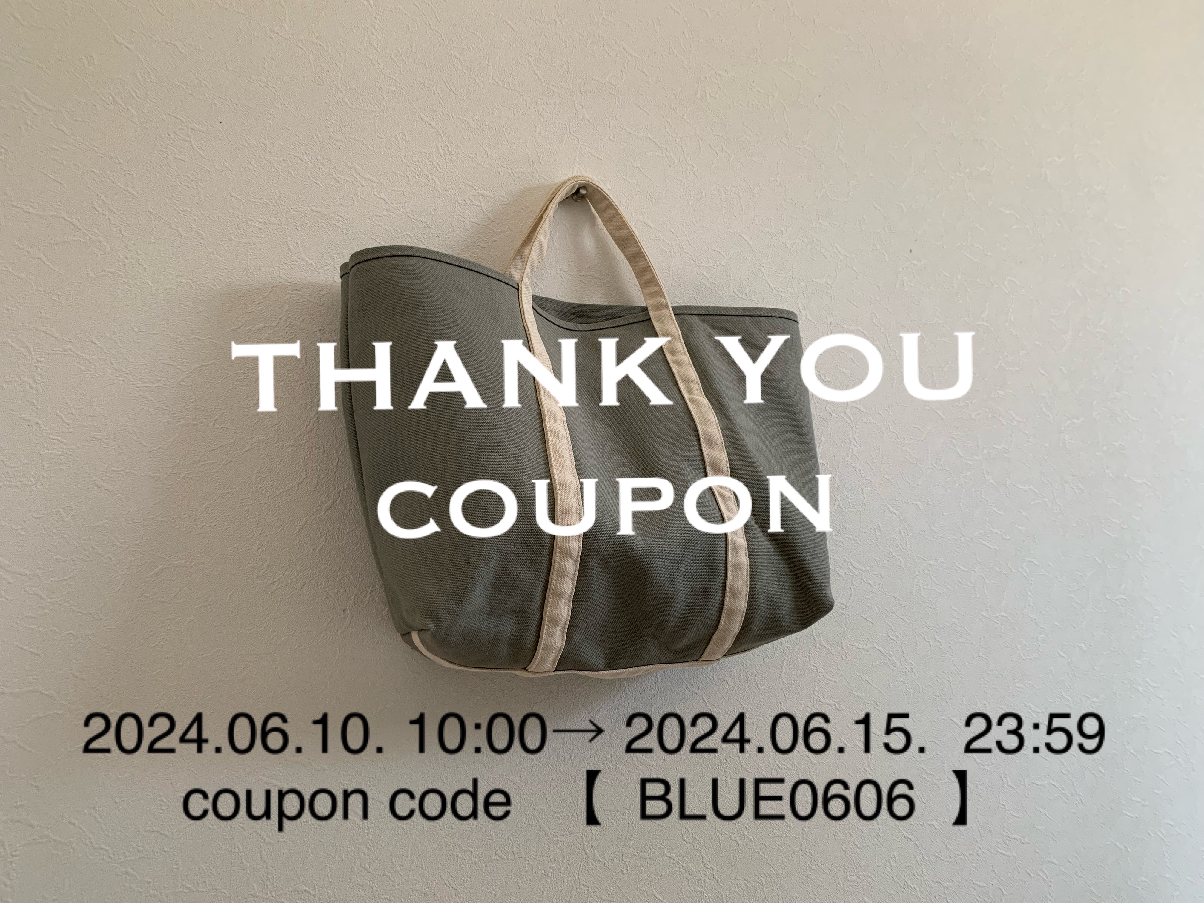 sale coupon 発行しました。