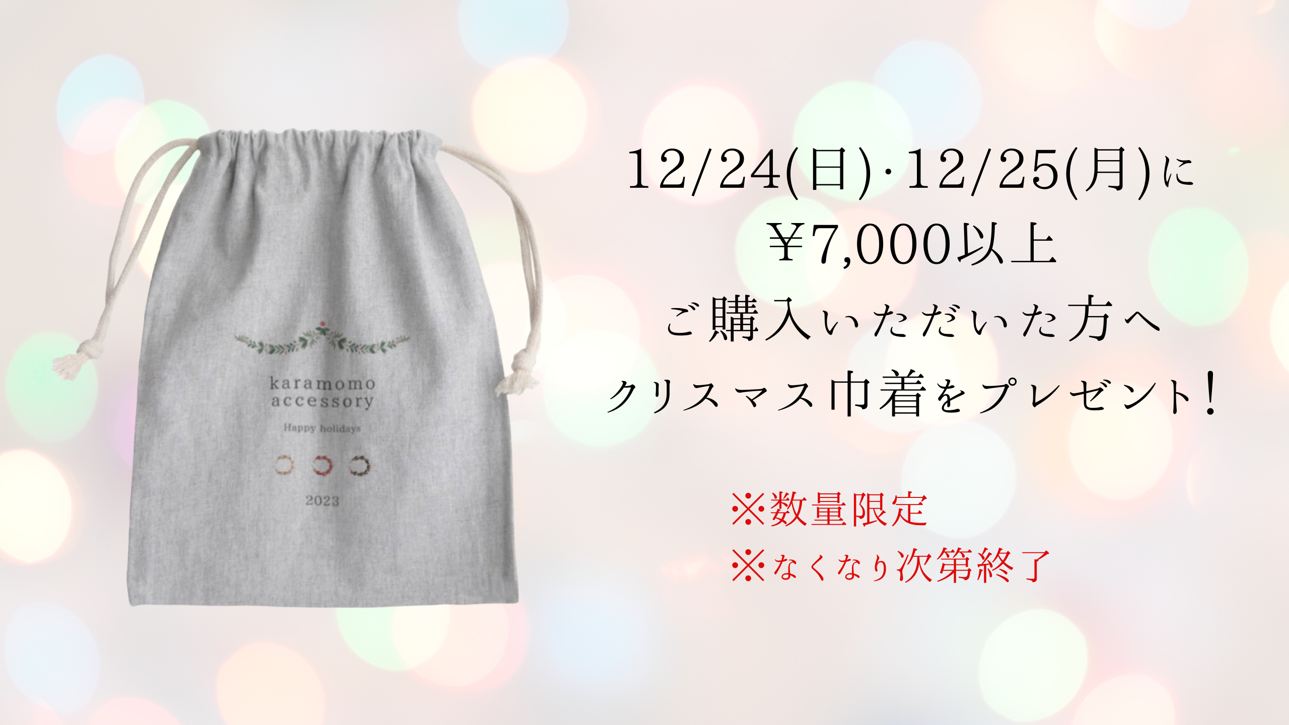 クリスマス巾着をプレゼント