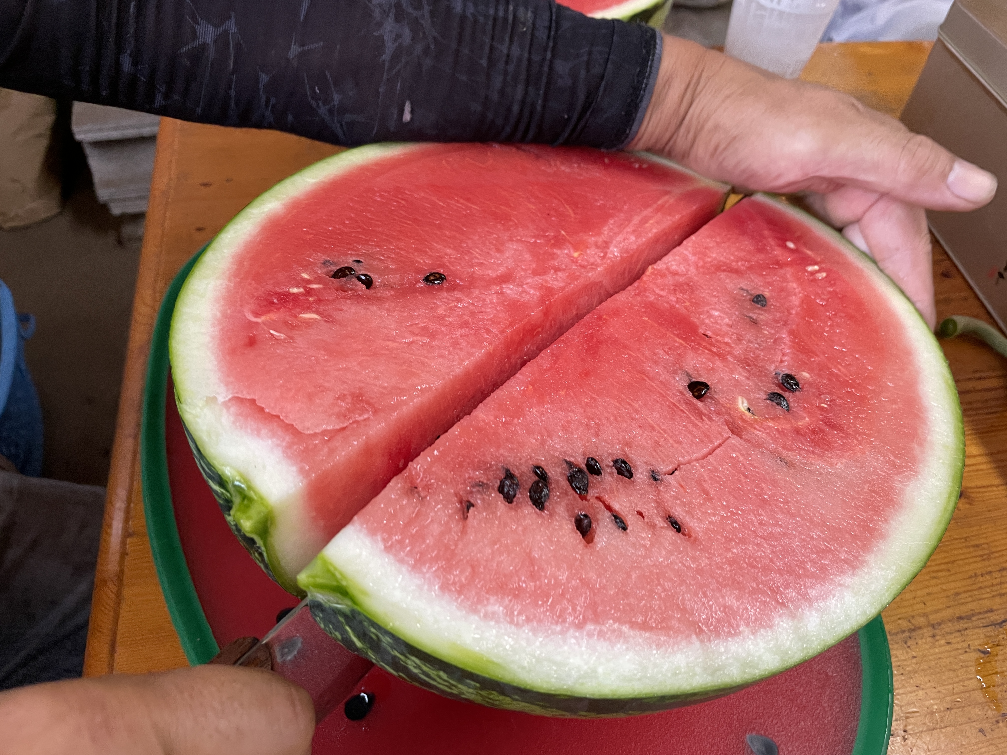 栄養豊富なスイカ🍉