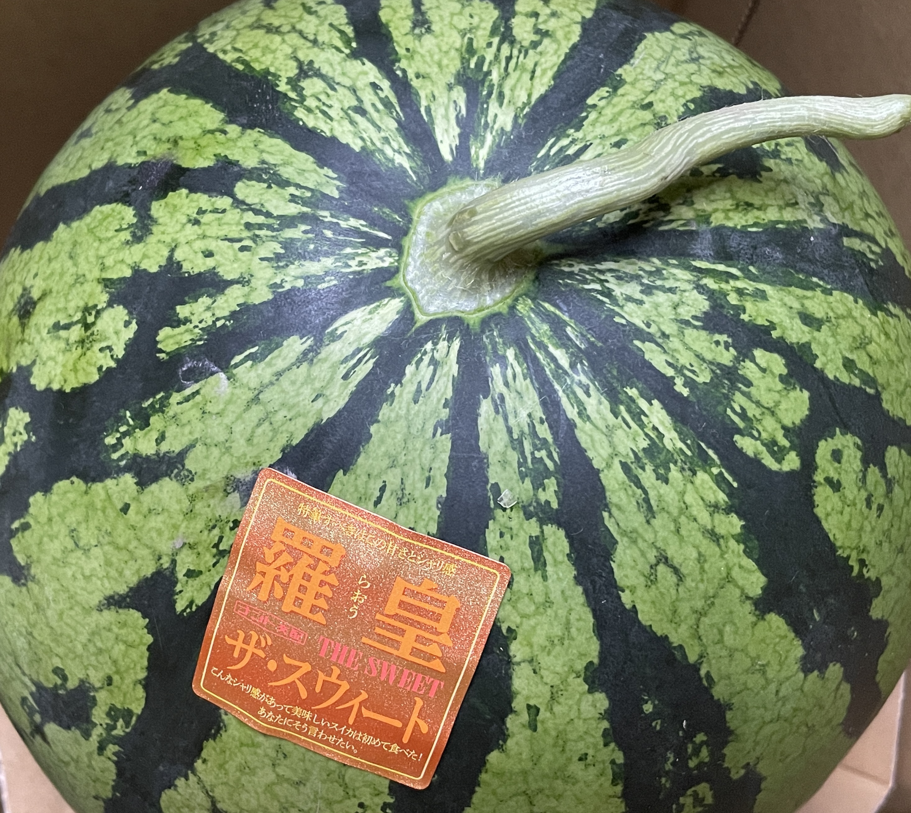 ふるさと納税返礼品🍉