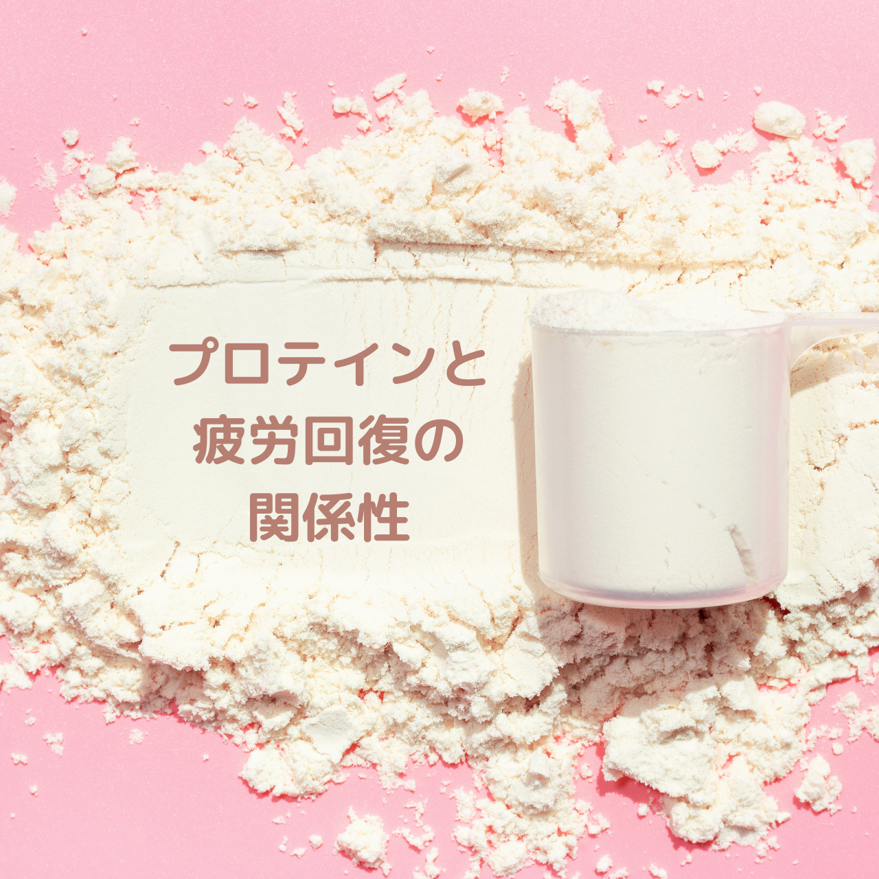 プロテインと疲労回復の関係性