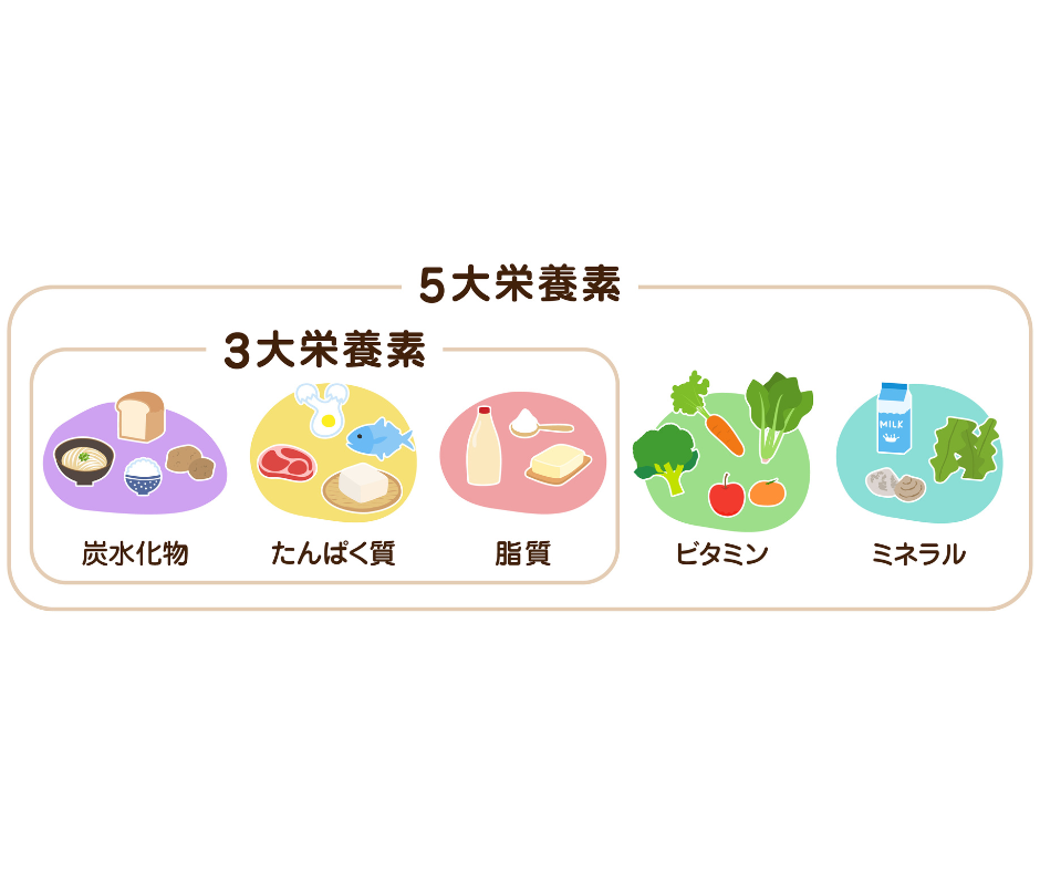5大栄養素とは