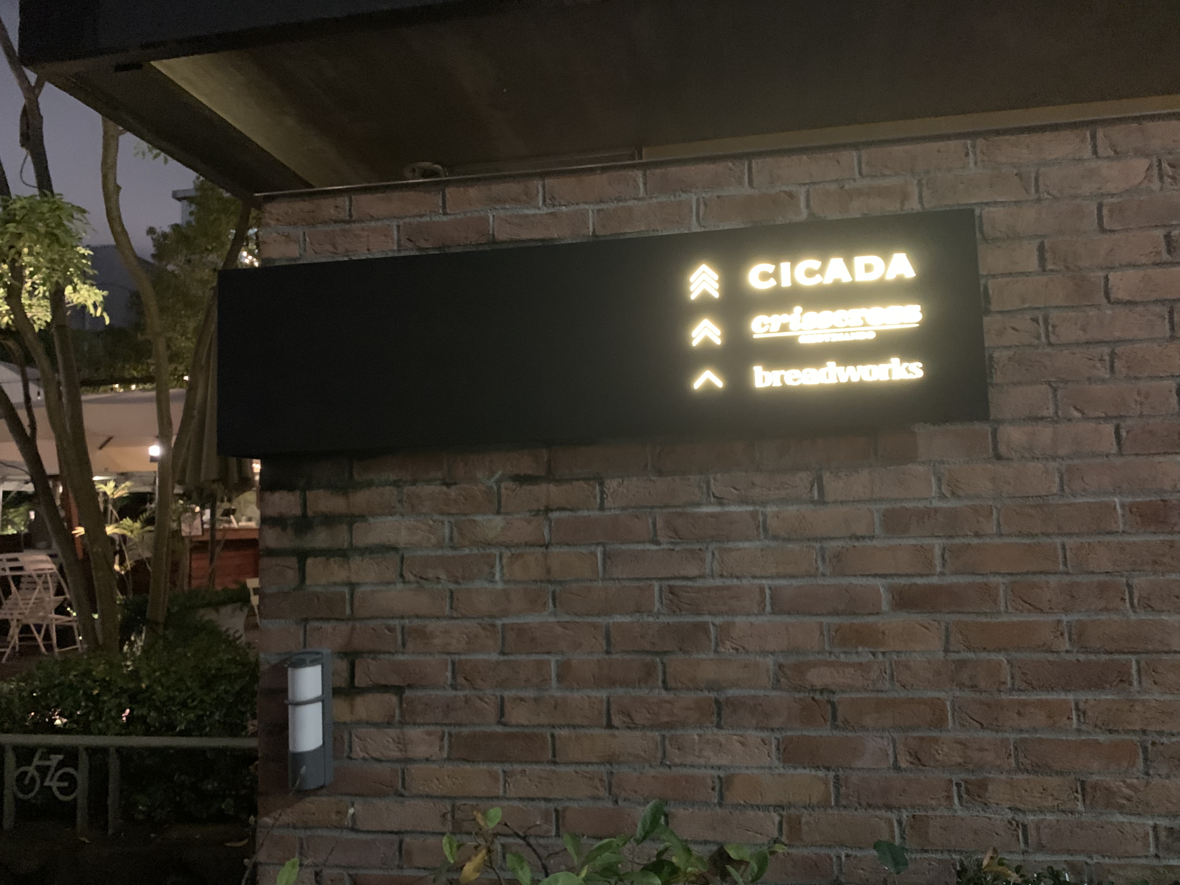 女子会ディナー