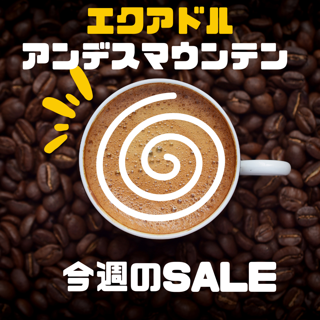 ★今週のSALE!