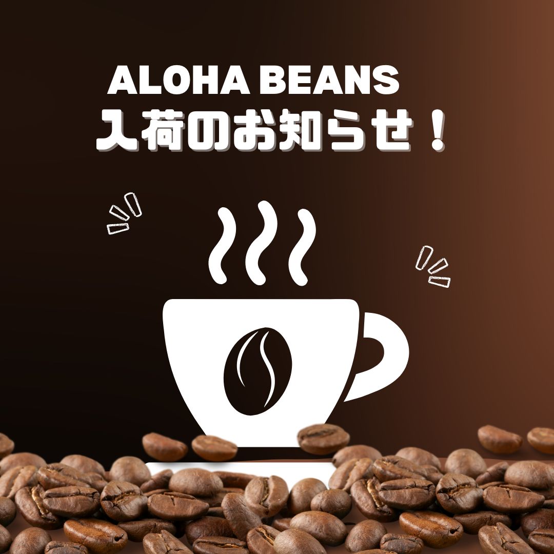 ★スポット入荷のお知らせ！