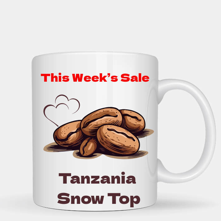 ★今週のSALE！