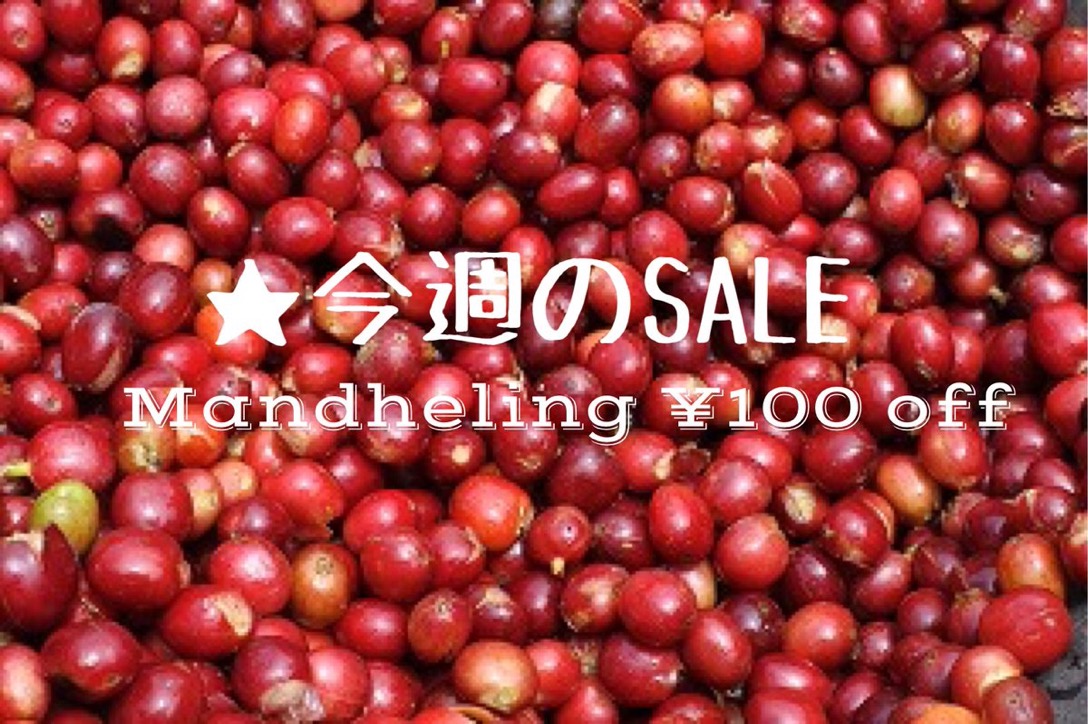 ★今週のSALE
