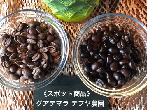 ★ネットショップ限定GW特別割引！