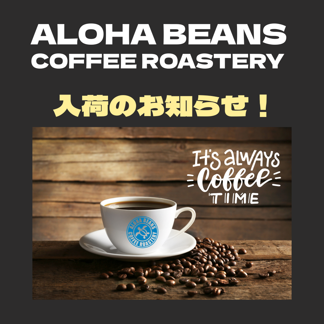 ★入荷のお知らせ！