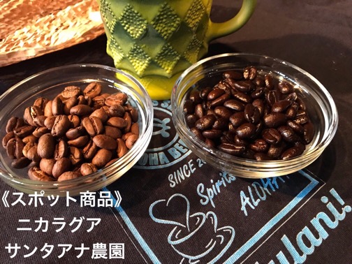 ★ネットショップ限定20％割引実施中！