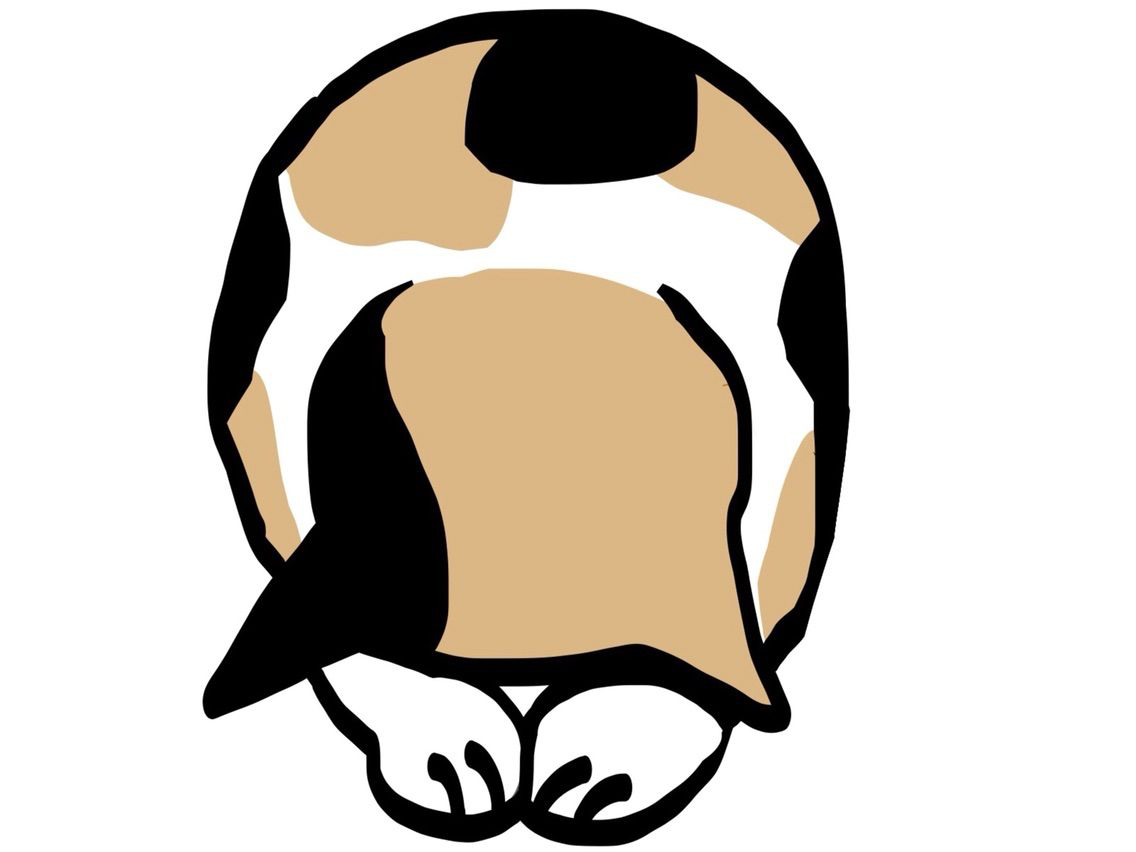 サロンメニューについて