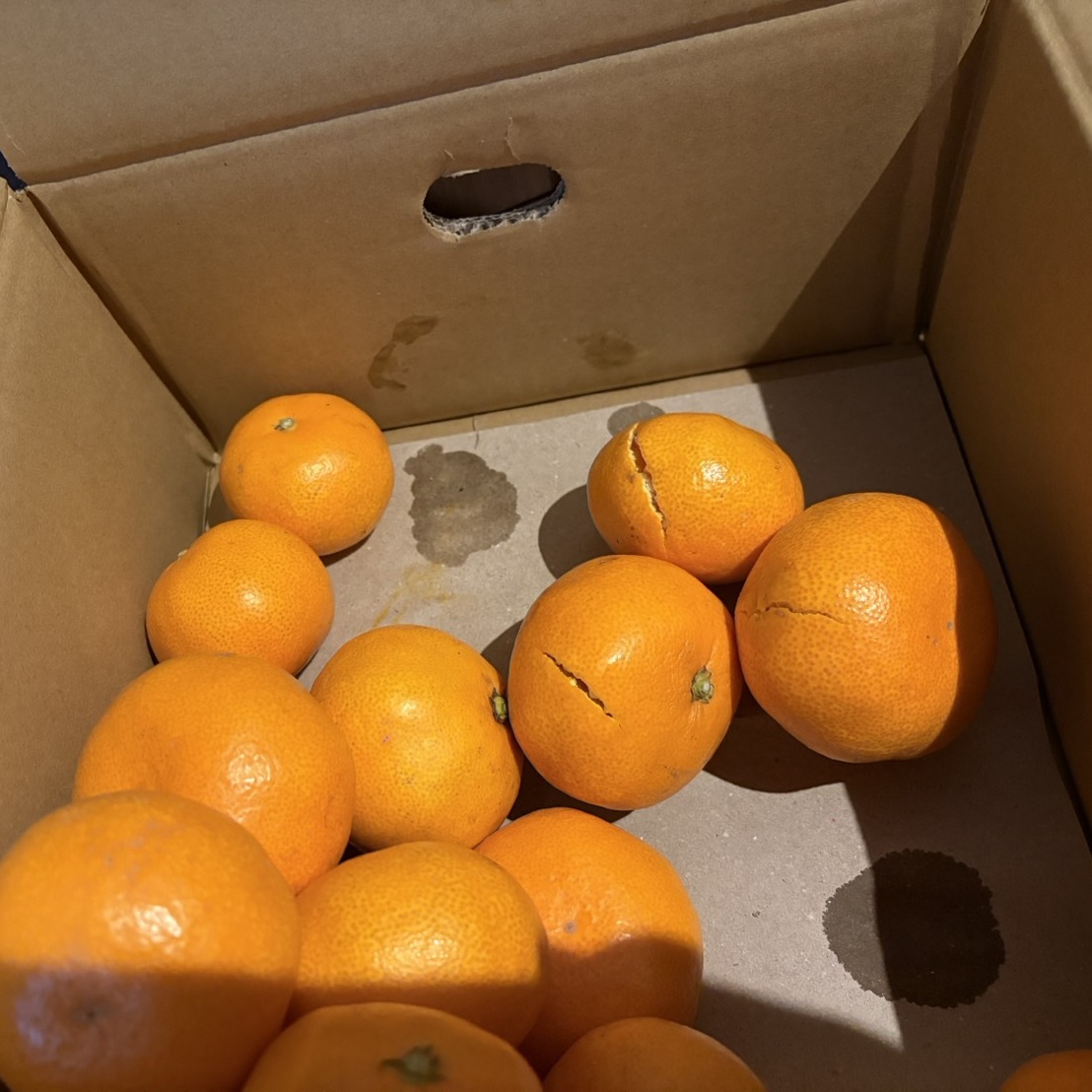 届いたみかんが割れていたら
