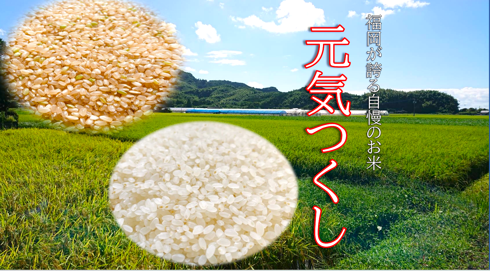 冷めても旨い～ げ～んきつくし