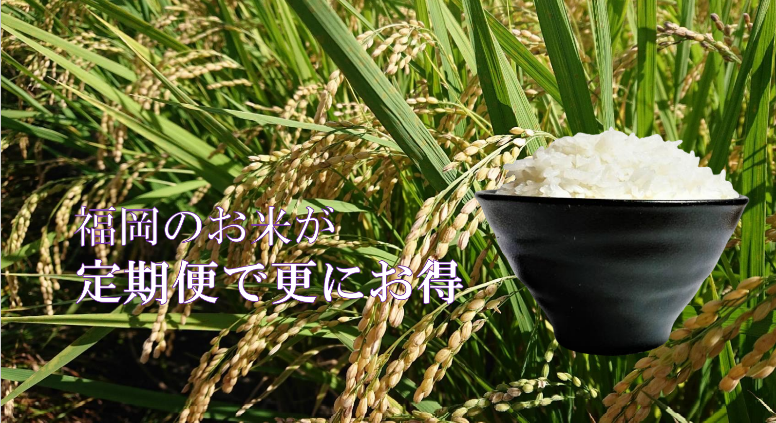 心米～SINMAI～　お得な定期便！！