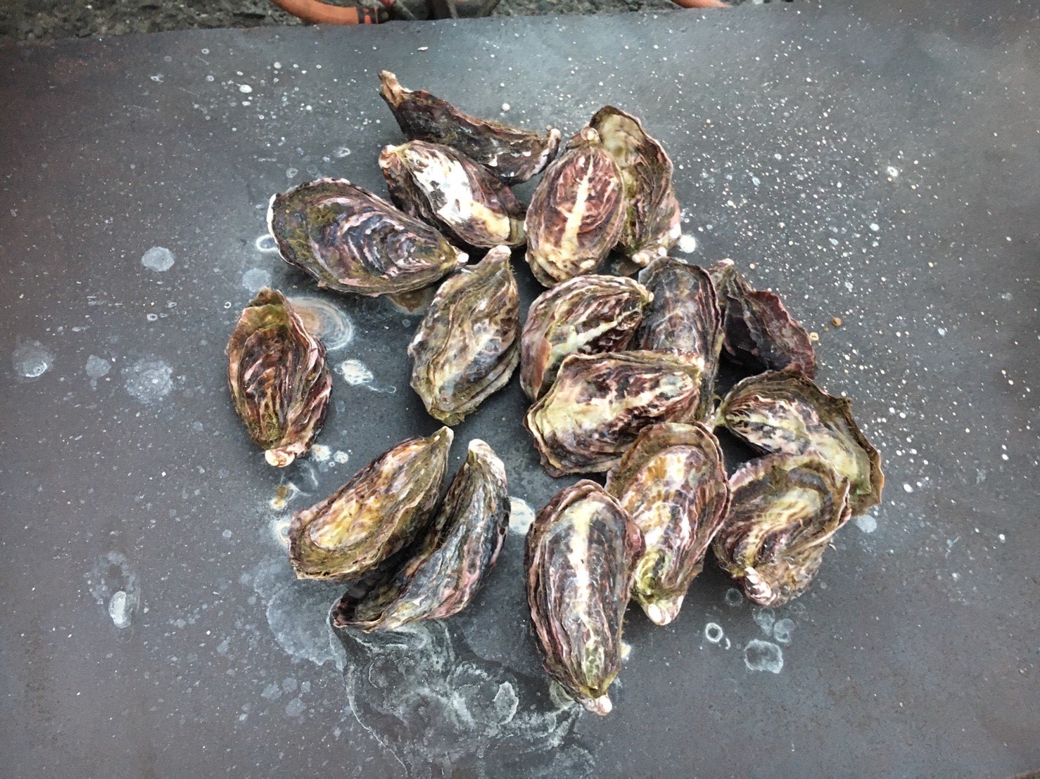 「小豆島産　真牡蠣」の試食と価格改定の実施報告