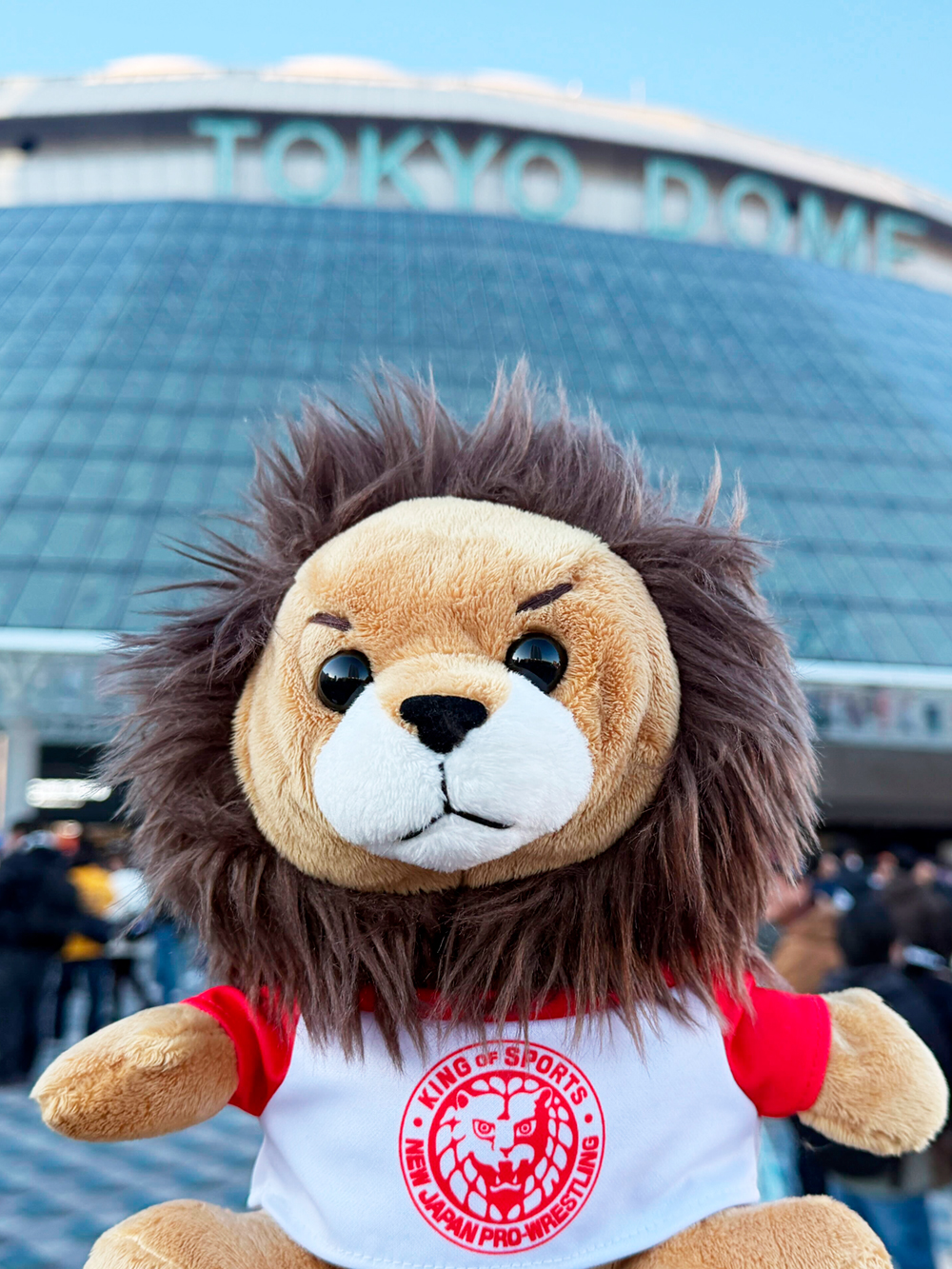 本日より新年の営業開始いたします