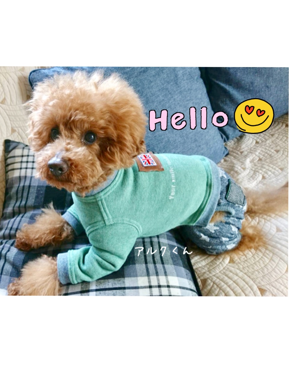 Peek a Booのとっても可愛いお客さま❤︎(*^ω^*)