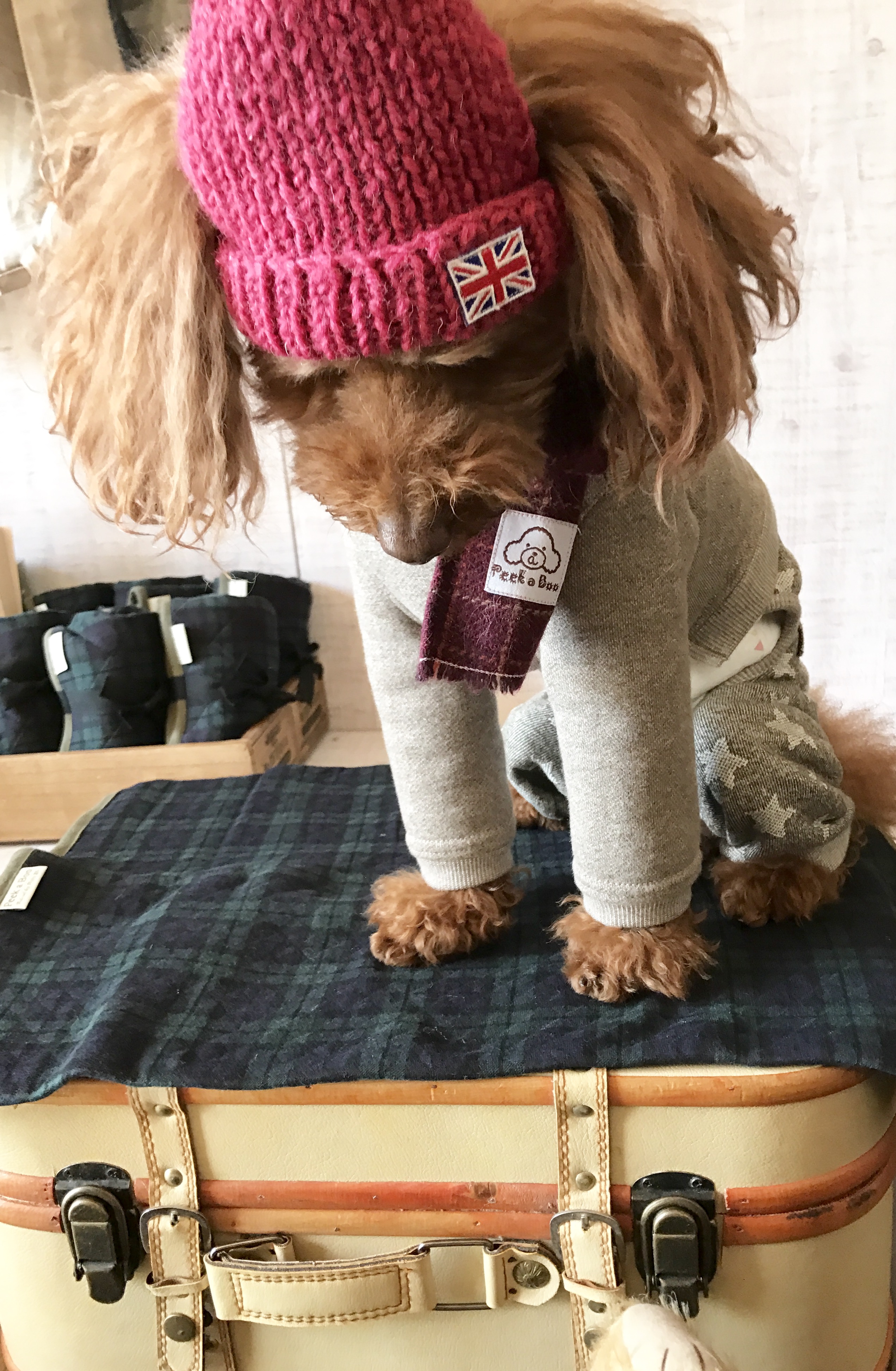 ＊Peek a Booの新作＊ふわふわカフェマット