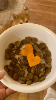 あけましておめでとうございます！